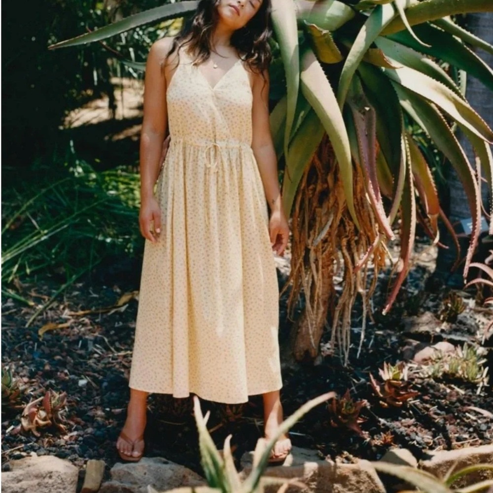 CHRISTY DAWN The Lincoln Midi Dress in Golden Pollinator NWOT
